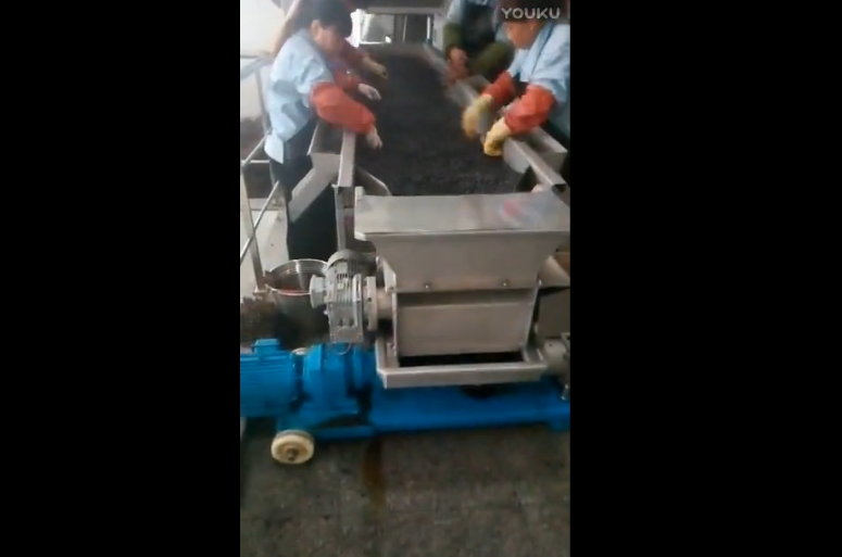 北京红叶酒庄葡萄前处理设备